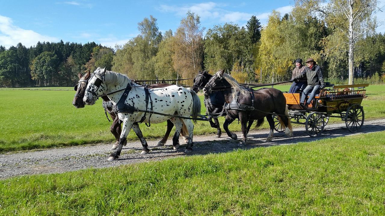 Hotel Alpenhof Bad Wörishofen Eksteriør bilde