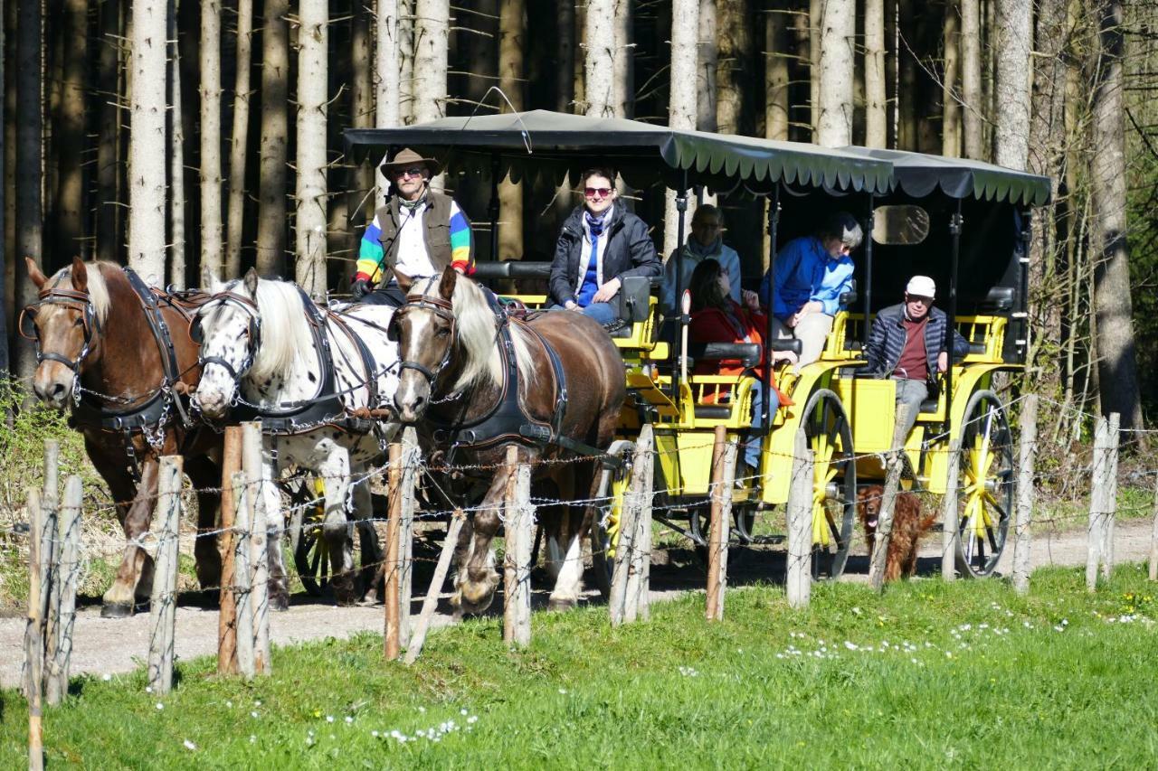 Hotel Alpenhof Bad Wörishofen Eksteriør bilde
