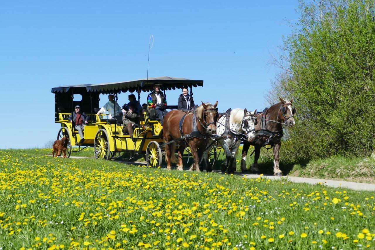 Hotel Alpenhof Bad Wörishofen Eksteriør bilde