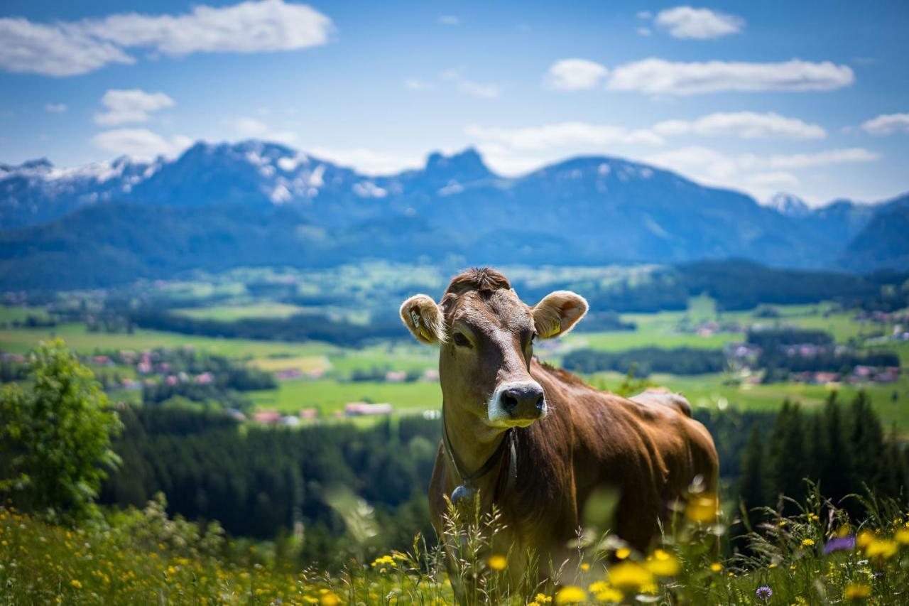 Hotel Alpenhof Bad Wörishofen Eksteriør bilde