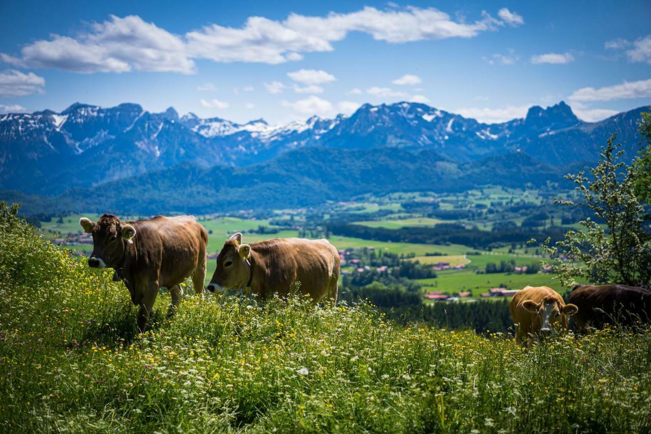 Hotel Alpenhof Bad Wörishofen Eksteriør bilde